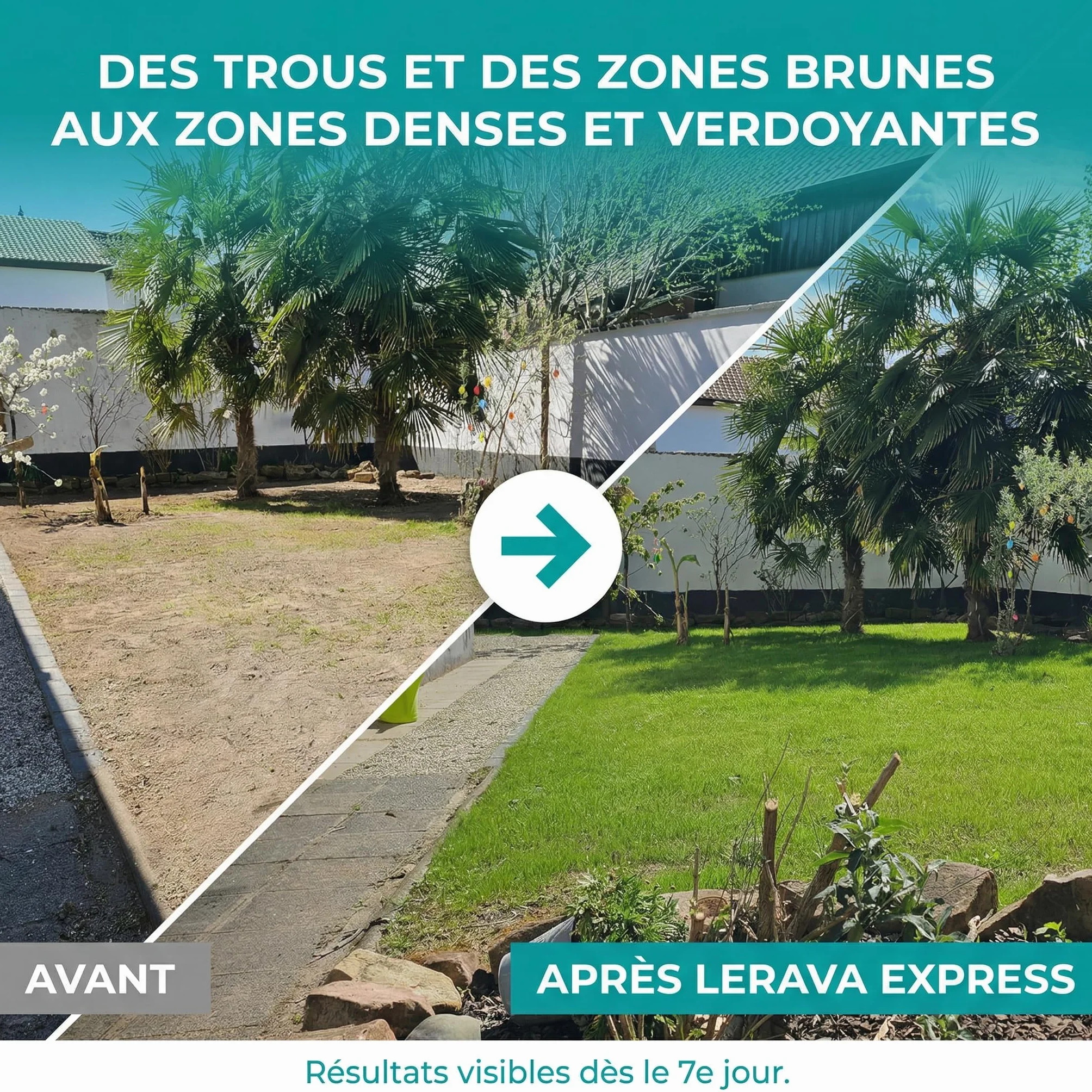 LERAVA Gazon à Semer EXPRESS 30m² Graines de Gazon Regarnissage Rapide Rustique Semence Gazon Ray Grass Résistante Pelouse Dense Jardin Sport Jeux