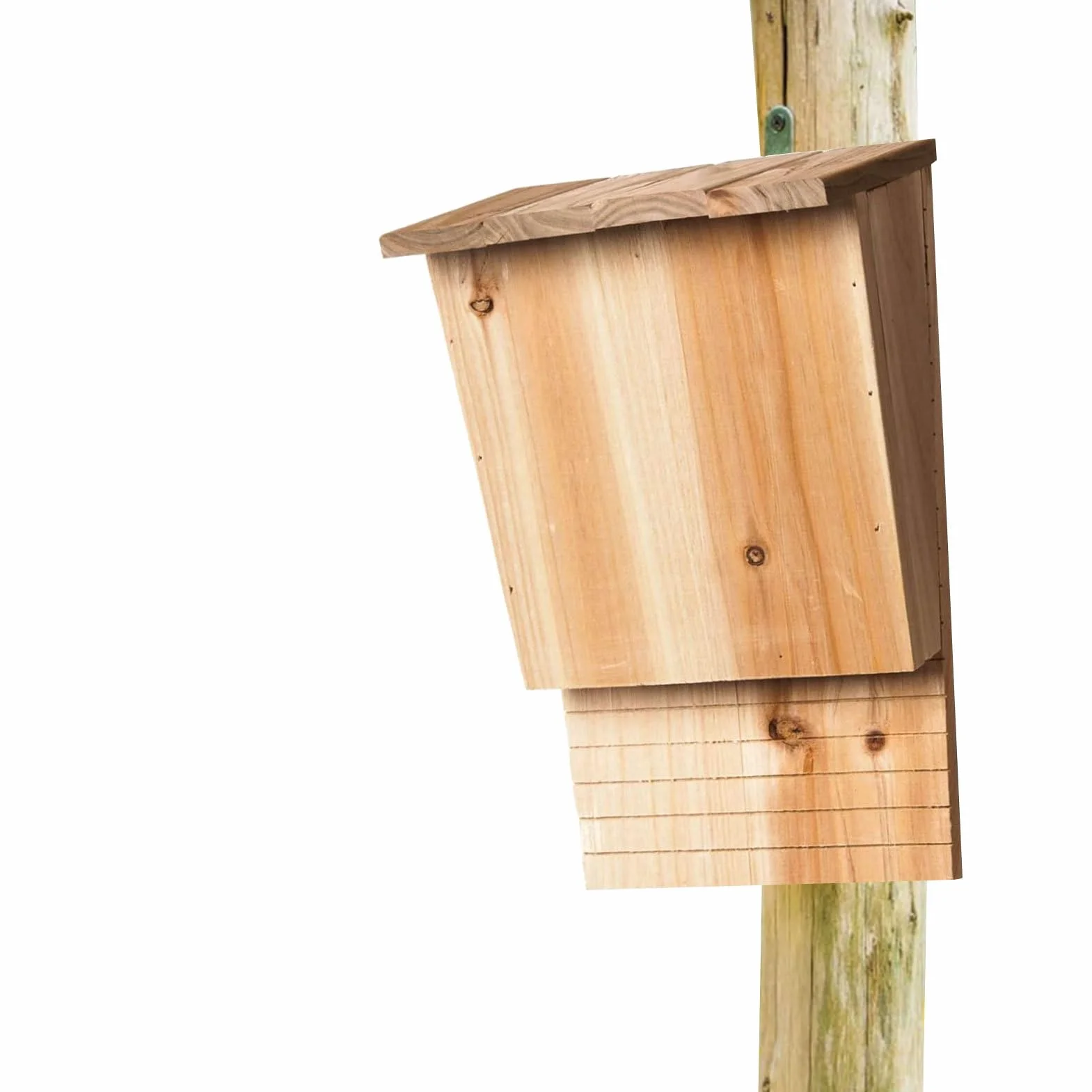Niche pour chauve-souris en bois naturel avec toit résistant aux intempéries Grand abri pour jardin