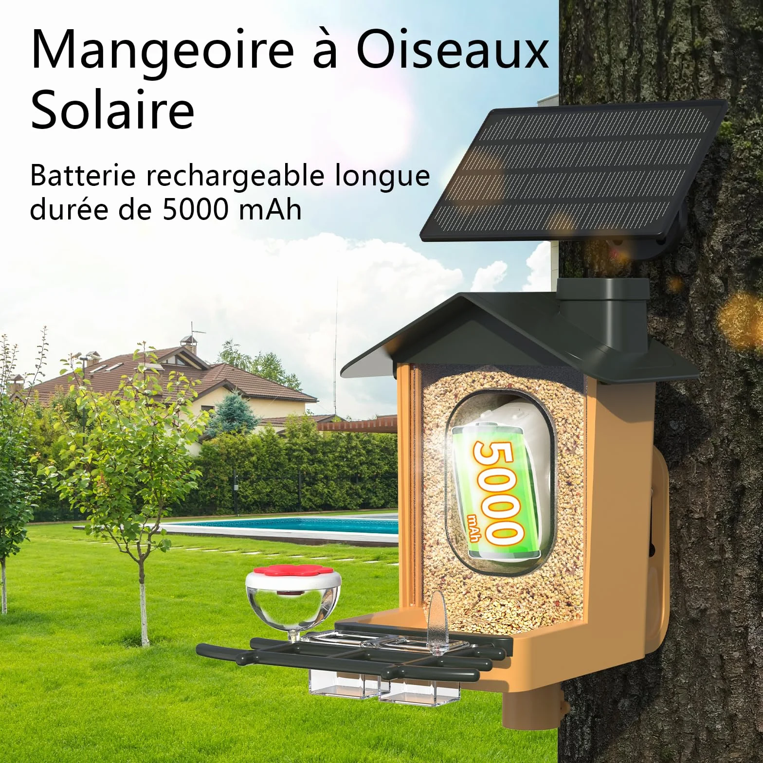 Mangeoire à Oiseaux avec Caméra AI Identification Oiseaux Vision Nocturne HD 2K IP65 Etanche Panneau Solaire
