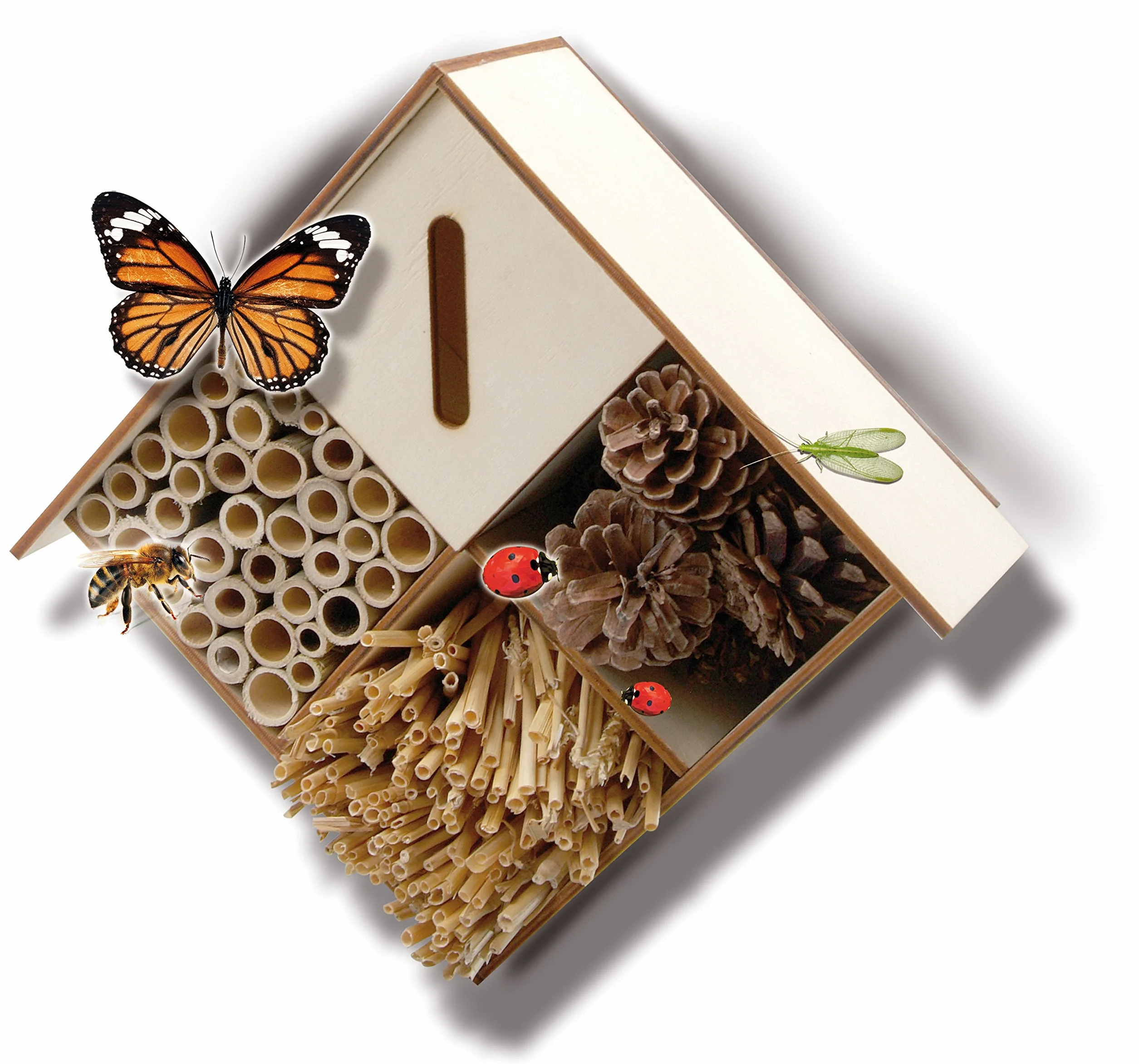 Ses France Kit De Loisirs Créatifs L'hôtel des Insectes