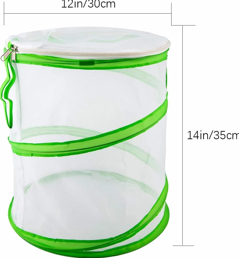 LUTER Habitat d'Insectes et de Papillons Cage Pliable 30×35cm pour l'Enseignement des Sciences