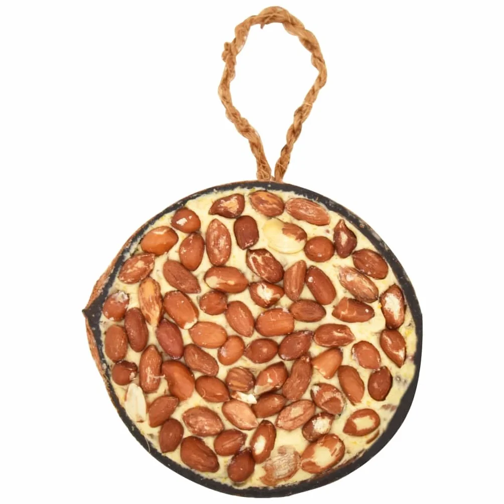 vidaXL 10x Moitiés de Noix de Coco pour Oiseaux 290 g