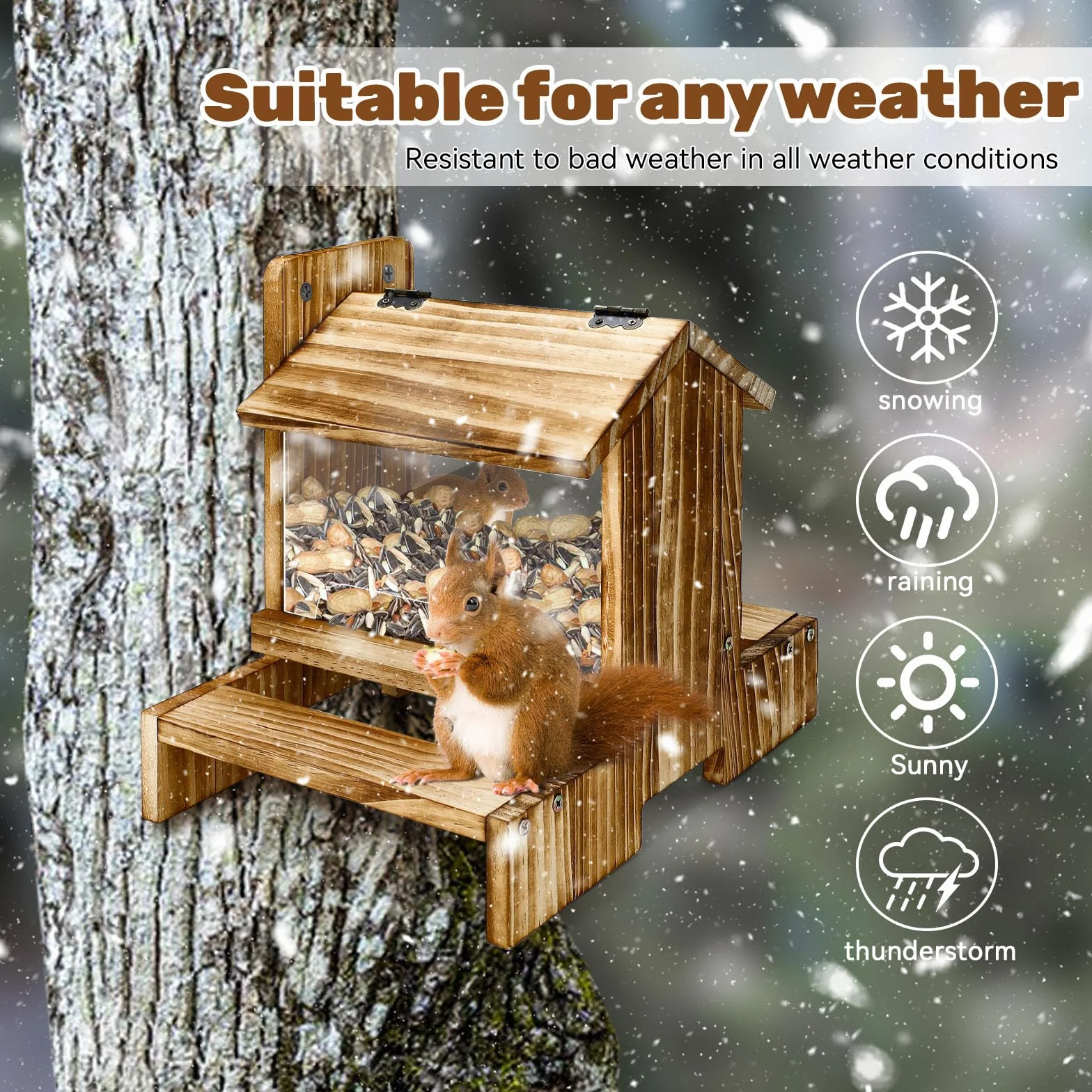 Mangeoire en bois pour écureuil extérieur - Mangeoire pour écureuils et tamias