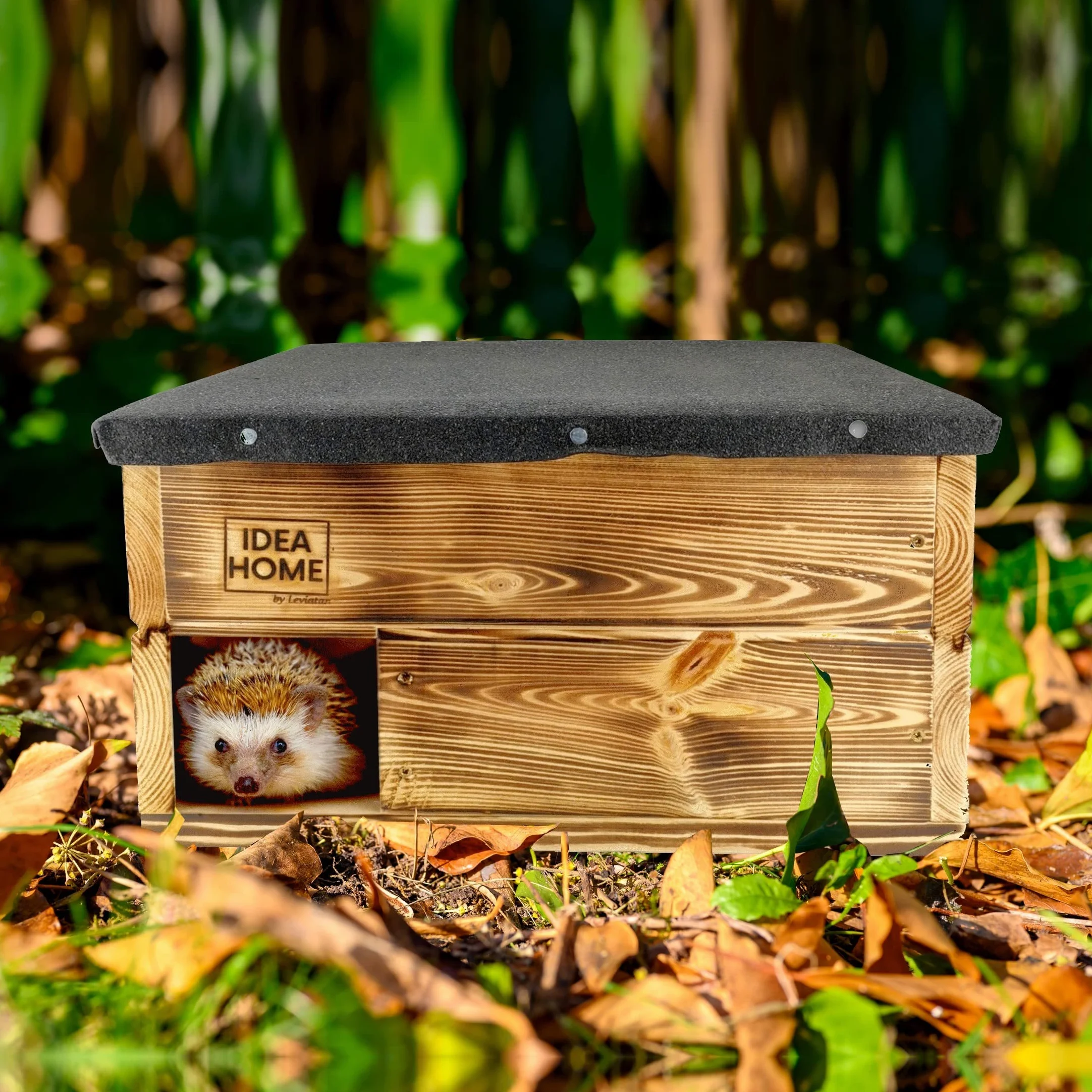 Idea Home Maison pour hérisson avec Sol en Bois résistante aux intempéries
