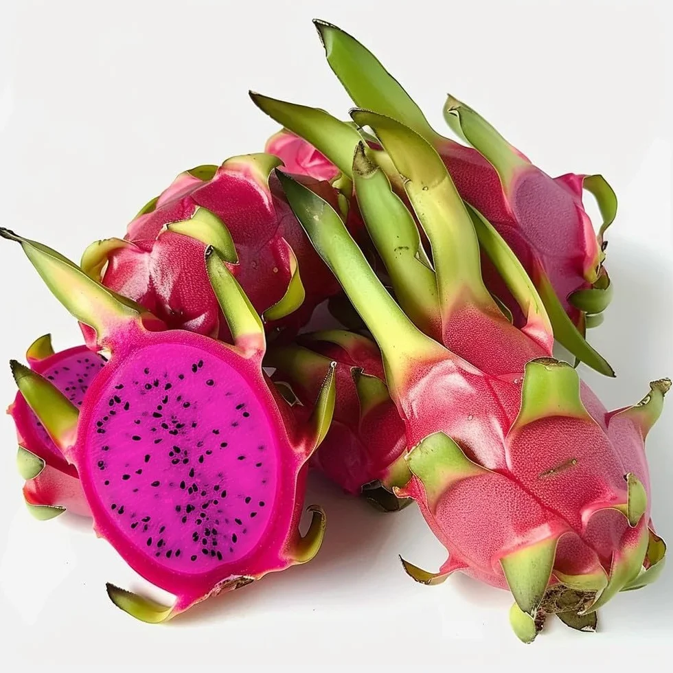 60 Graines de Fruit du Dragon Pitaya - Cactus Jardin Semences Paysannes - SemiSauvage