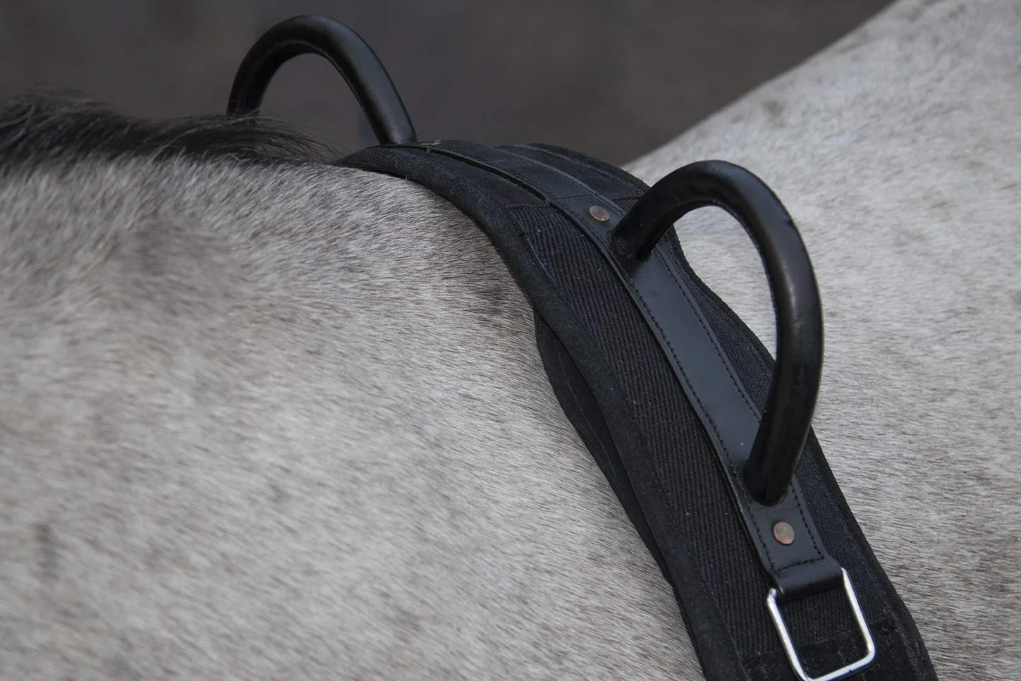 HKM 12701 Sangle de Longe en Toile avec Double poignée Fixe pour Poney Noir