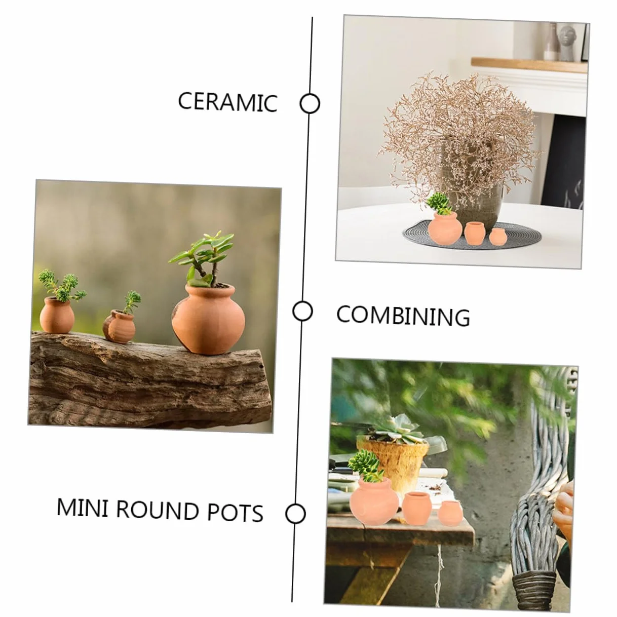 Lot de 12 Mini Pots pour Plantes Succulentes Intérieur Extérieur