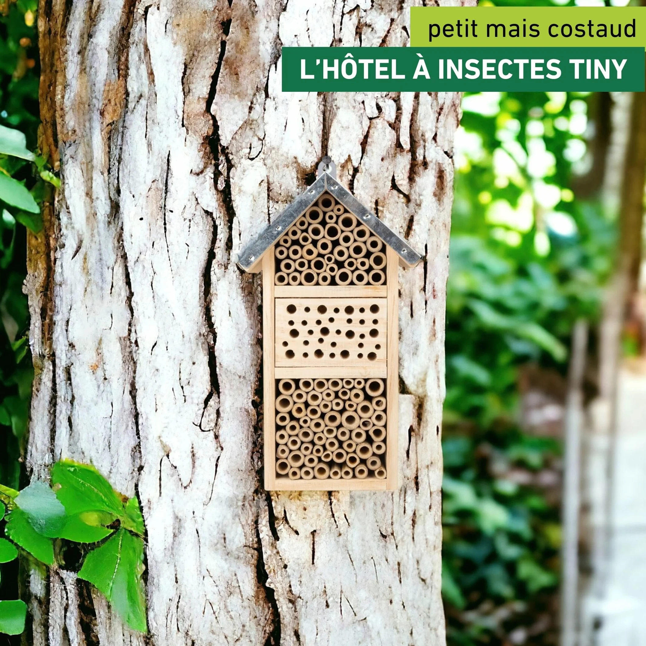 Windhager Hôtel à Insectes Tiny Bois Bambou Abri Abeilles Nichoir Suspendre