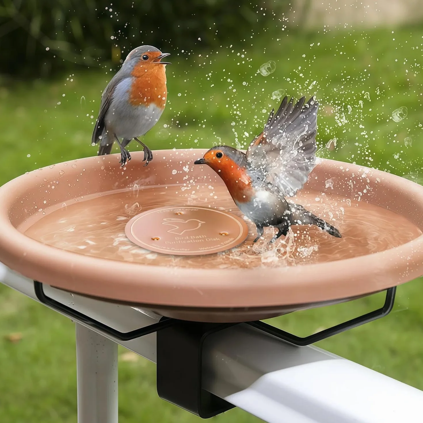Plaque de Cuivre Pur 99,99% 0,6 mm Disque de Purification pour Bain d'oiseaux
