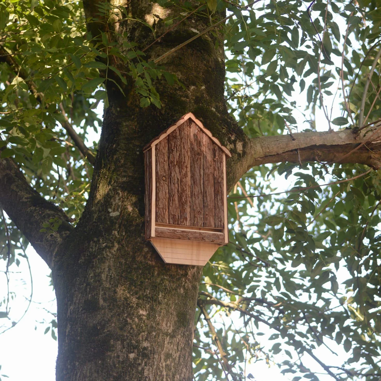CKB LTD Abri extérieur en Bois pour Chauve-Souris Hôtel 30,5 x 6,5 x 46,5 cm