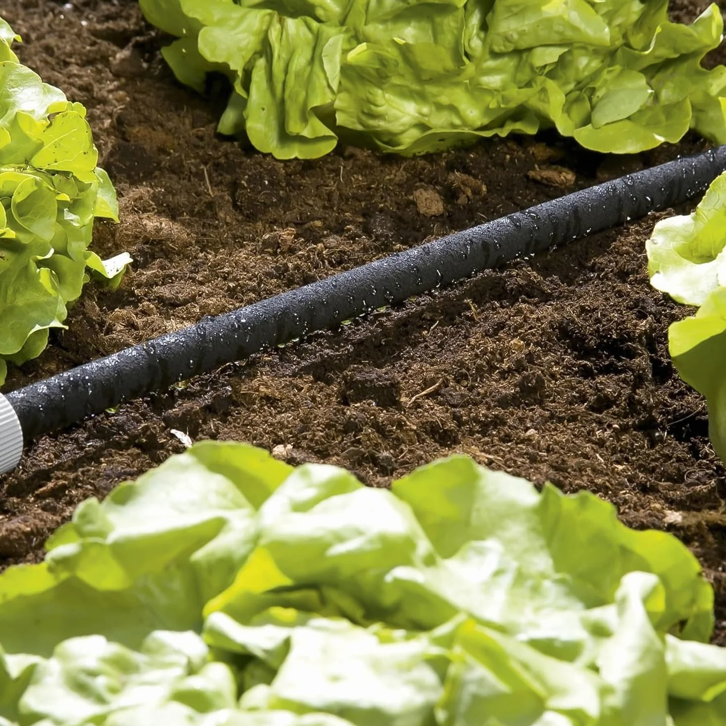 Gardena Tuyau d'arrosage micro-poreux 15 m 1969-20 arrosage à économie d'eau