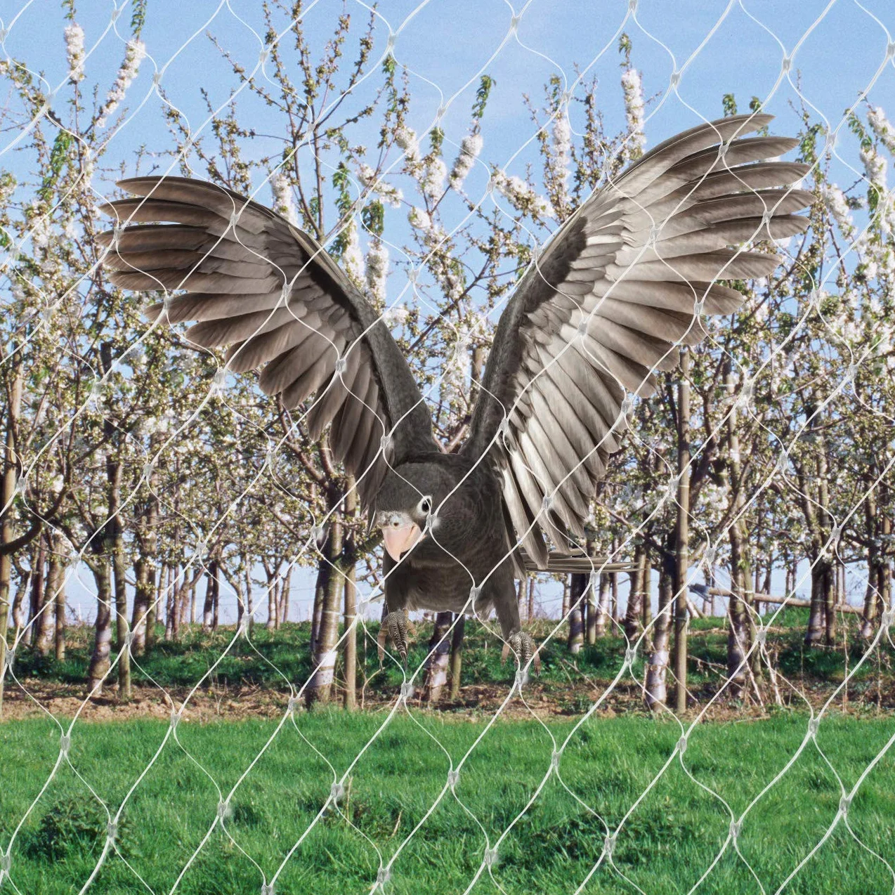 GWHOLE Filets de Jardin Anti-Oiseaux 8M x 3M Maille 2,5cm Filet de Protection
