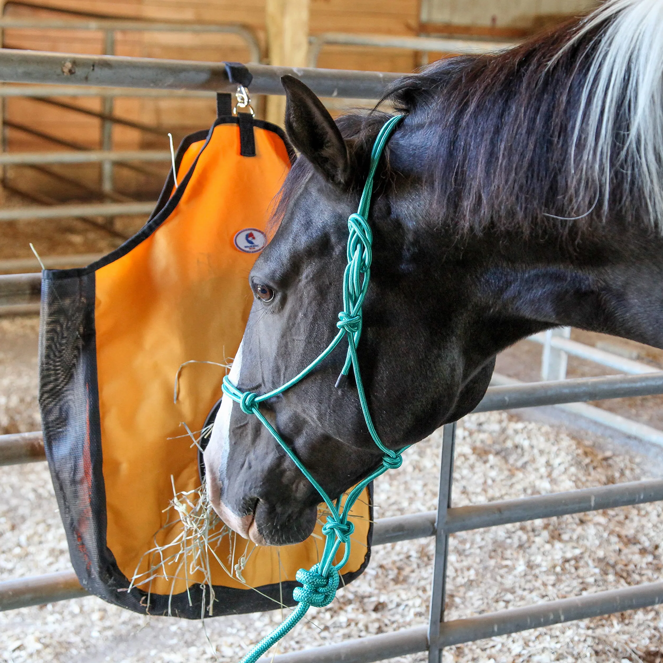 Majestic Ally 1/4 pouce de corde 4 nœuds licol de dressage en polyester rigide avec longe assortie de 3 m pour chevaux – complet (rouge, plein)
