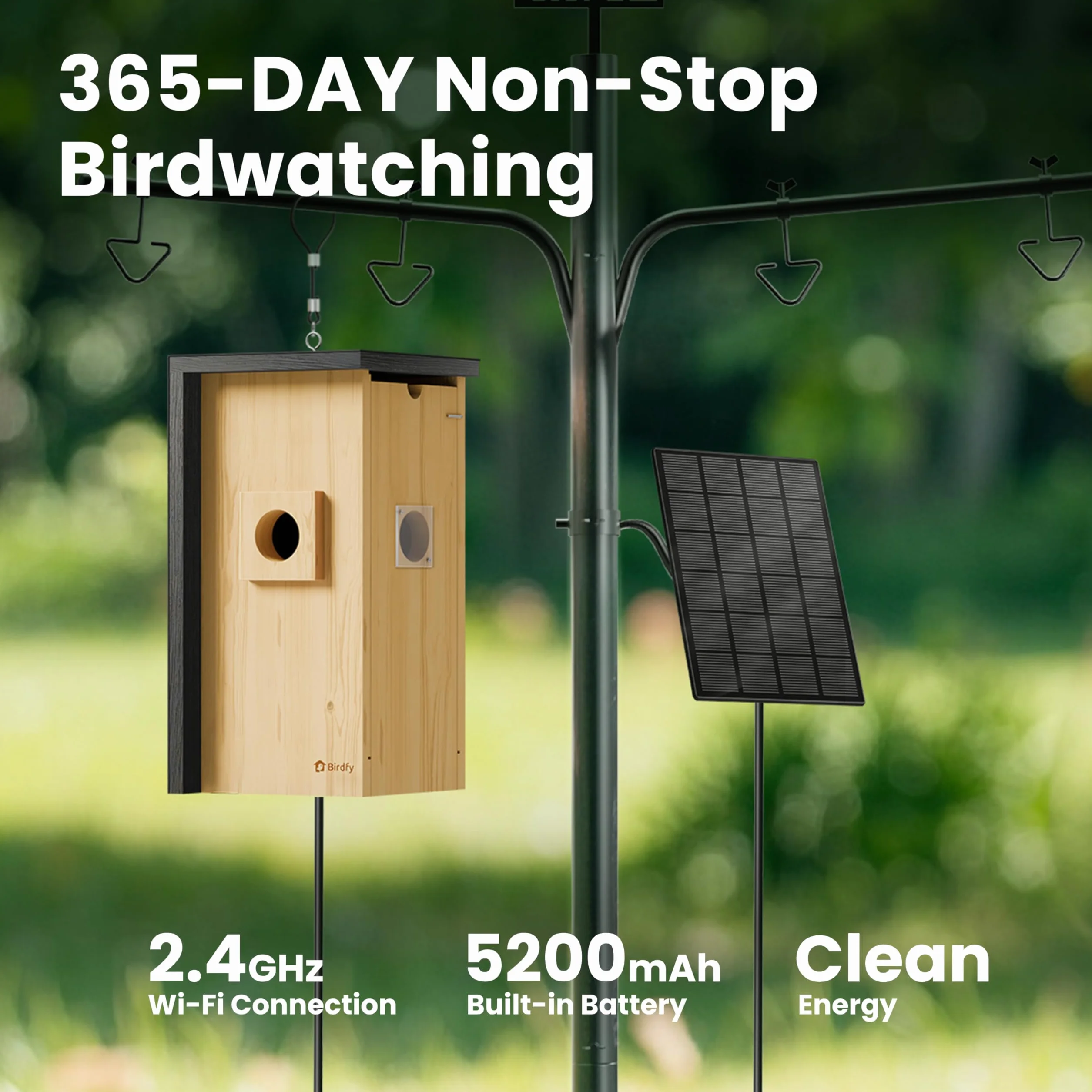 Birdfy Nichoir à oiseaux avec caméra 2 mégapixels, observation en temps réel