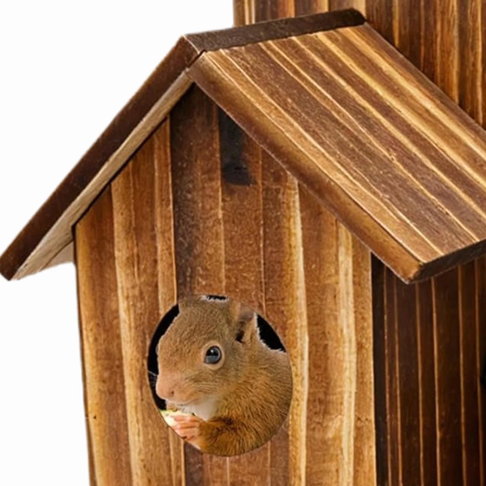 Mangeoire pour Écureuils en Bois Naturel, Distributeur Nourriture Résistant aux Intempéries avec Toit