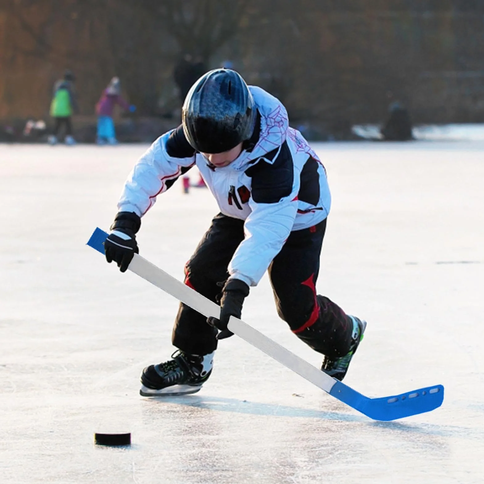 Crosse de Hockey sur Glace Bâtons de Hockey Ensemble avec Balle et Filet