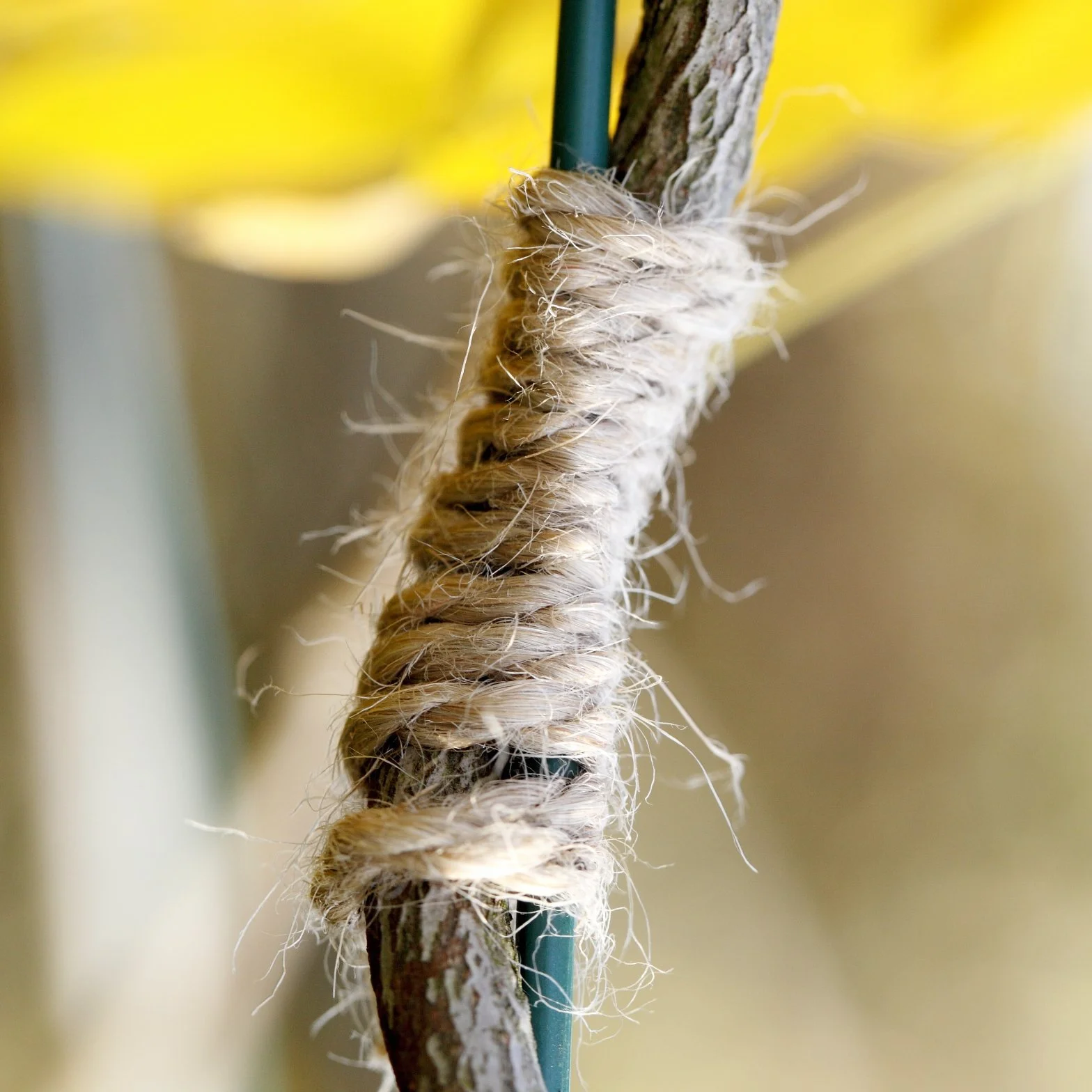 Ficelle Jute Naturel 2mm Bobine 800 m La Cordeline CJN34 pour Jardinage Bricolage DIY