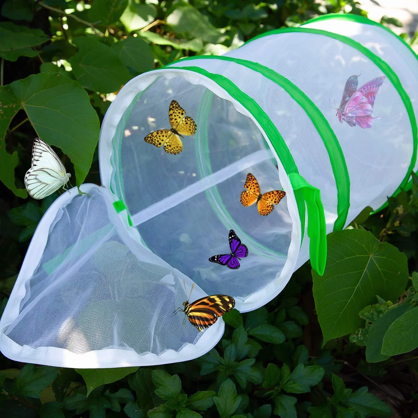 LUTER Habitat d'Insectes et de Papillons Cage Pliable 30×35cm pour l'Enseignement des Sciences