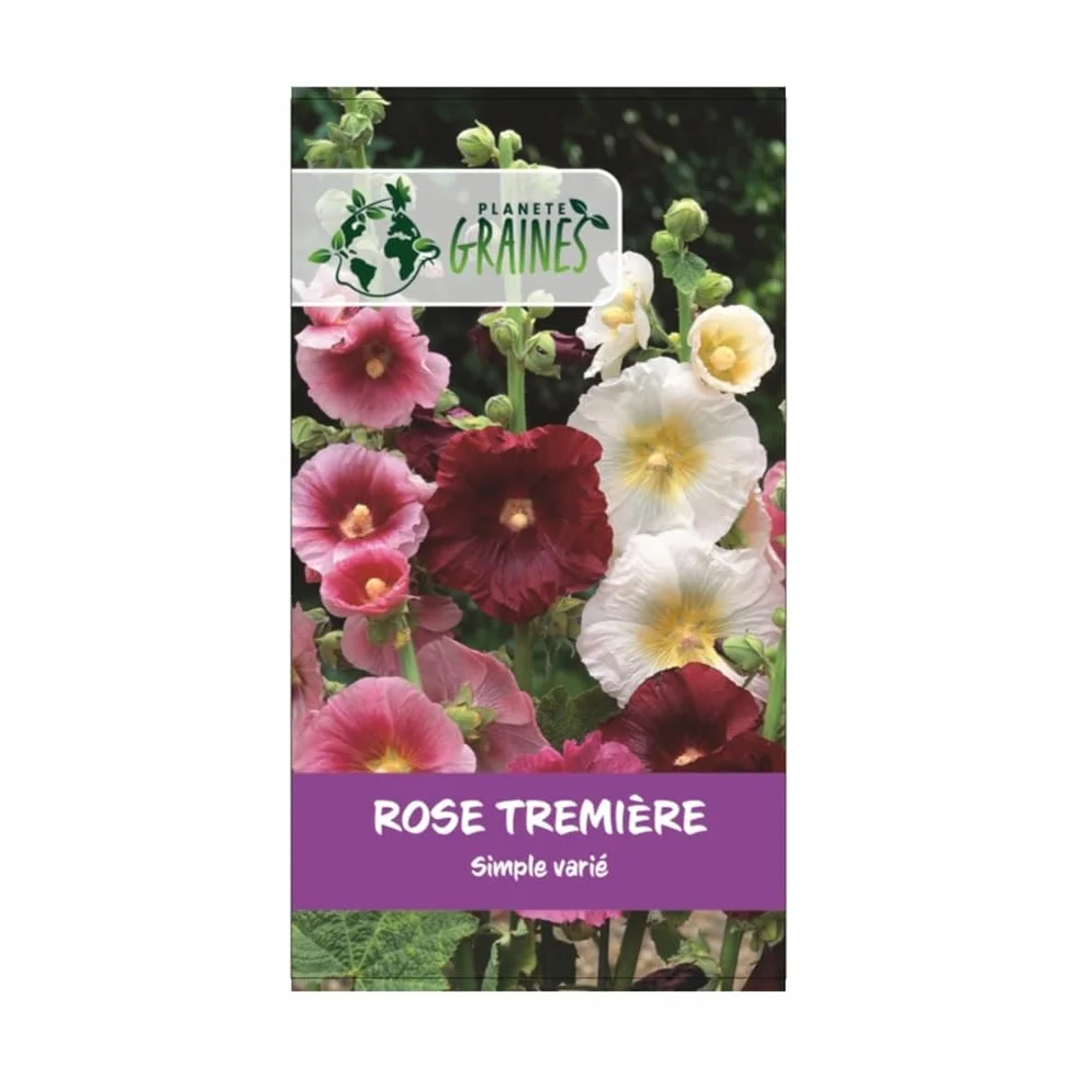 Alcea rosea Rose Tremiere mixtes graines vivace fleurs simple en mélange