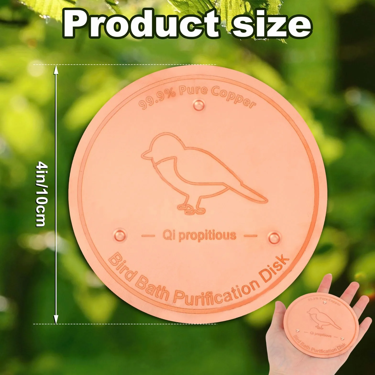 BOXOB Disque Cuivre Bain d'oiseaux 10cm Purification avec Support Triple Point Purificateur Eau Extérieur