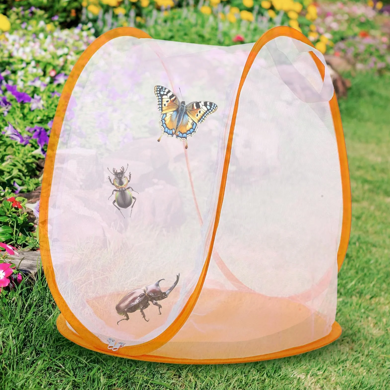 Habitat Chenilles Terrarium Portable Maille Cage Papillon Intérieur Extérieur Jardin