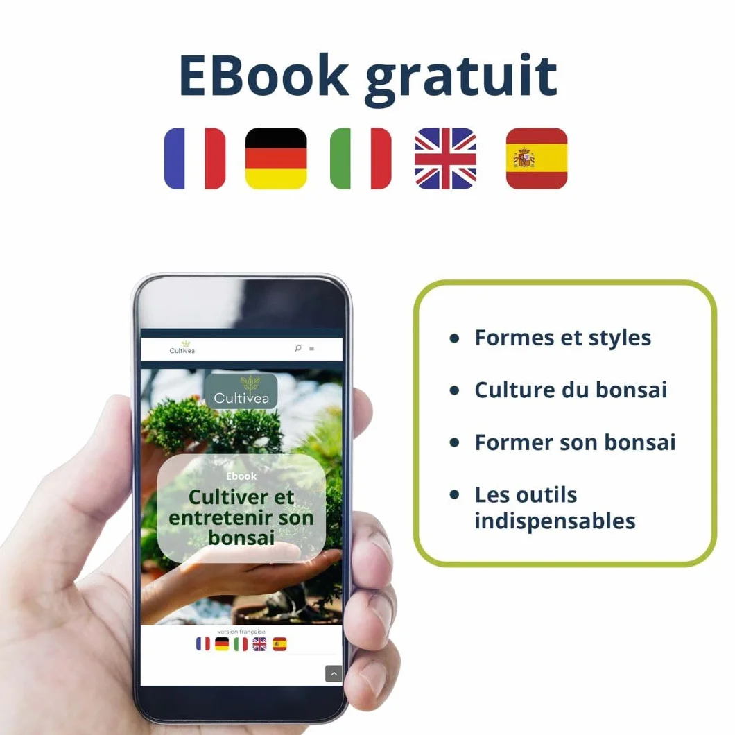 CULTIVEA® Kit Bonsaï Premium Prêt à Pousser - Outils, Ciseaux, Fil pour Entretien de Bonsaïs