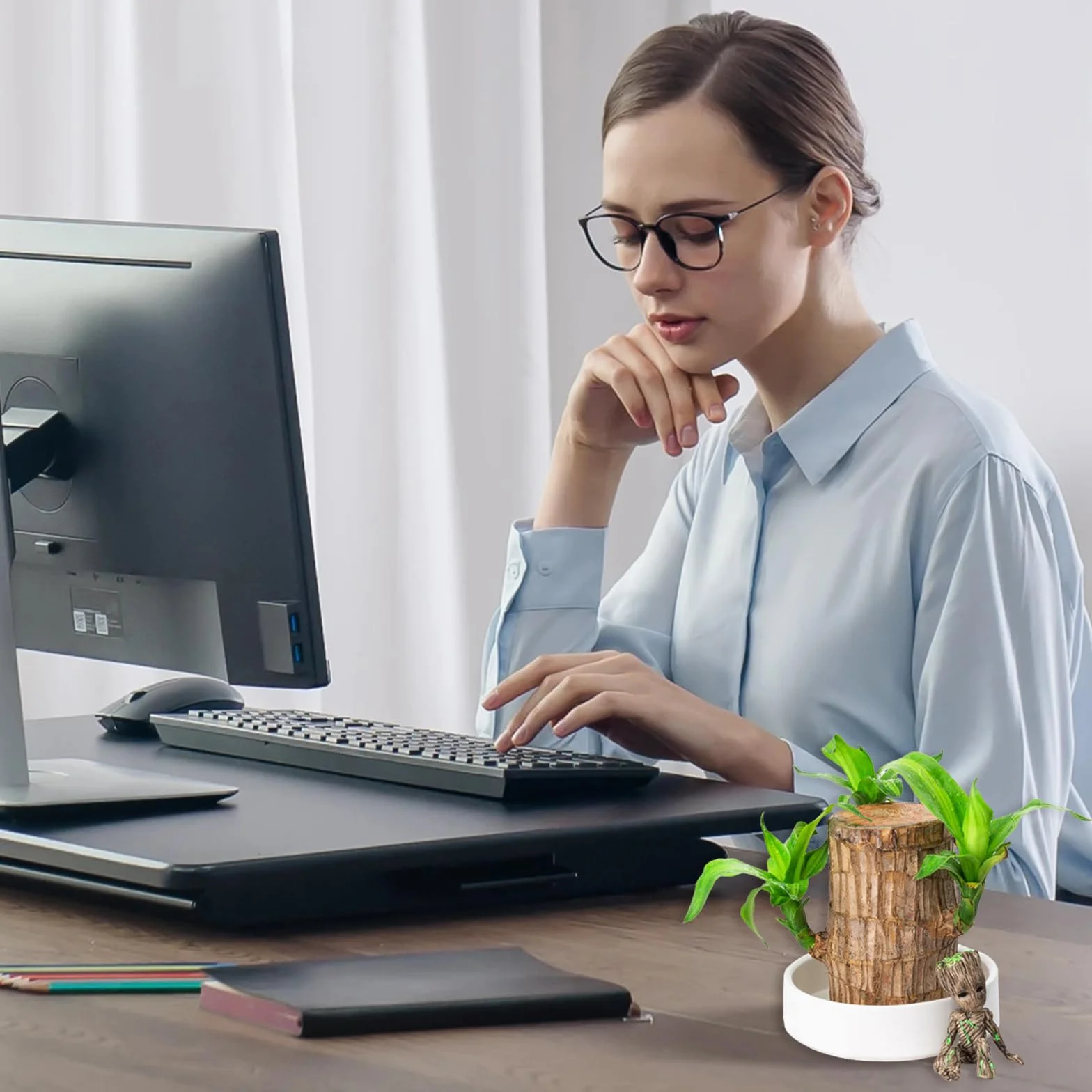 Bambou porte-bonheur brésilien Lot de plantes avec pot ornements Hydroponique Décoration bureau