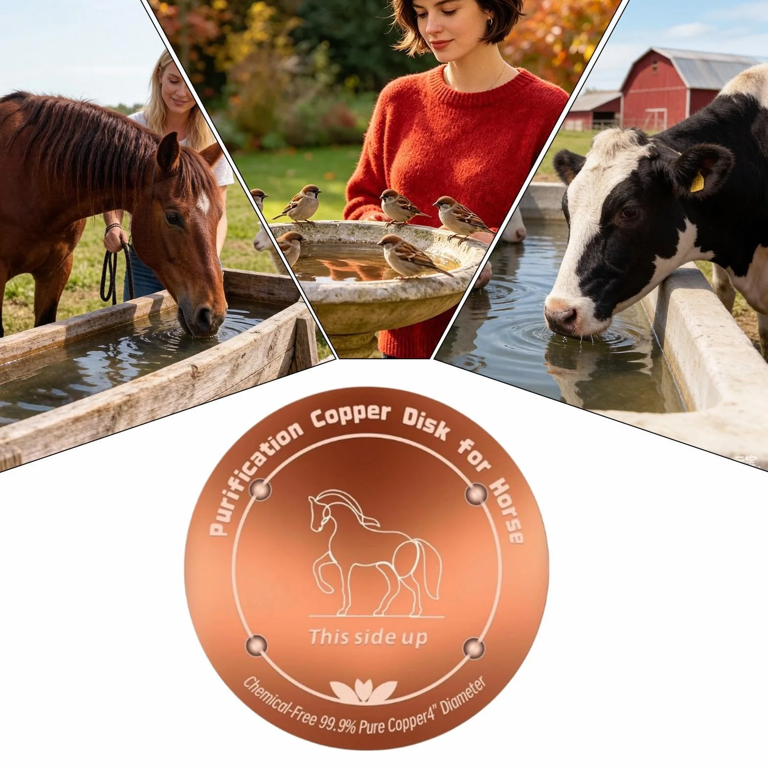 Disque en cuivre pour eau potable - Nettoyage Physique Résistant Aux Intempéries, Purification pour Abreuvoir Chevaux, Bains d'oiseaux, Piscine