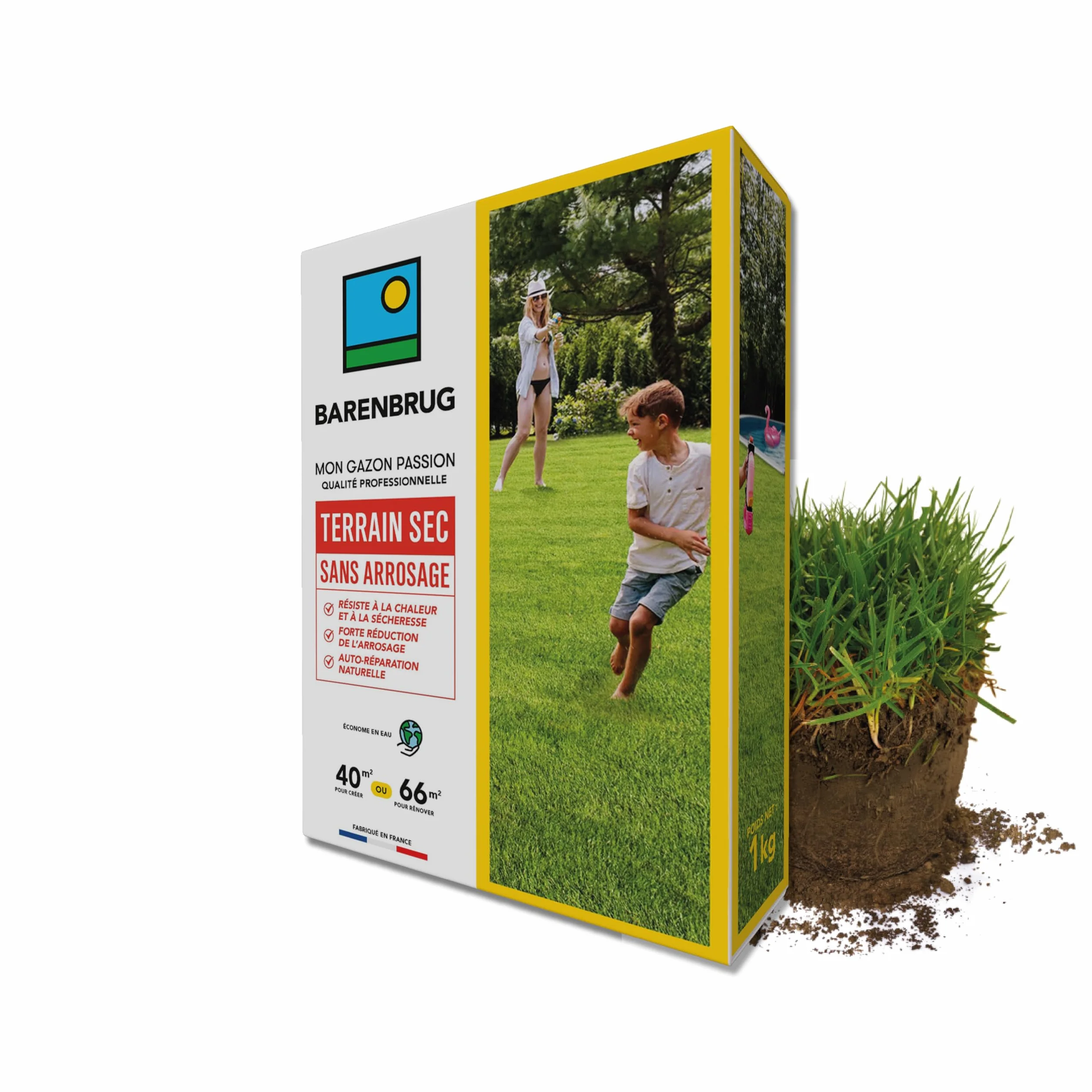 Barenbrug Gazon Terrain Sec sans arrosage 1KG Résiste Chaleur Sécheresse Forte Réduction Arrosage Autoréparation Naturelle