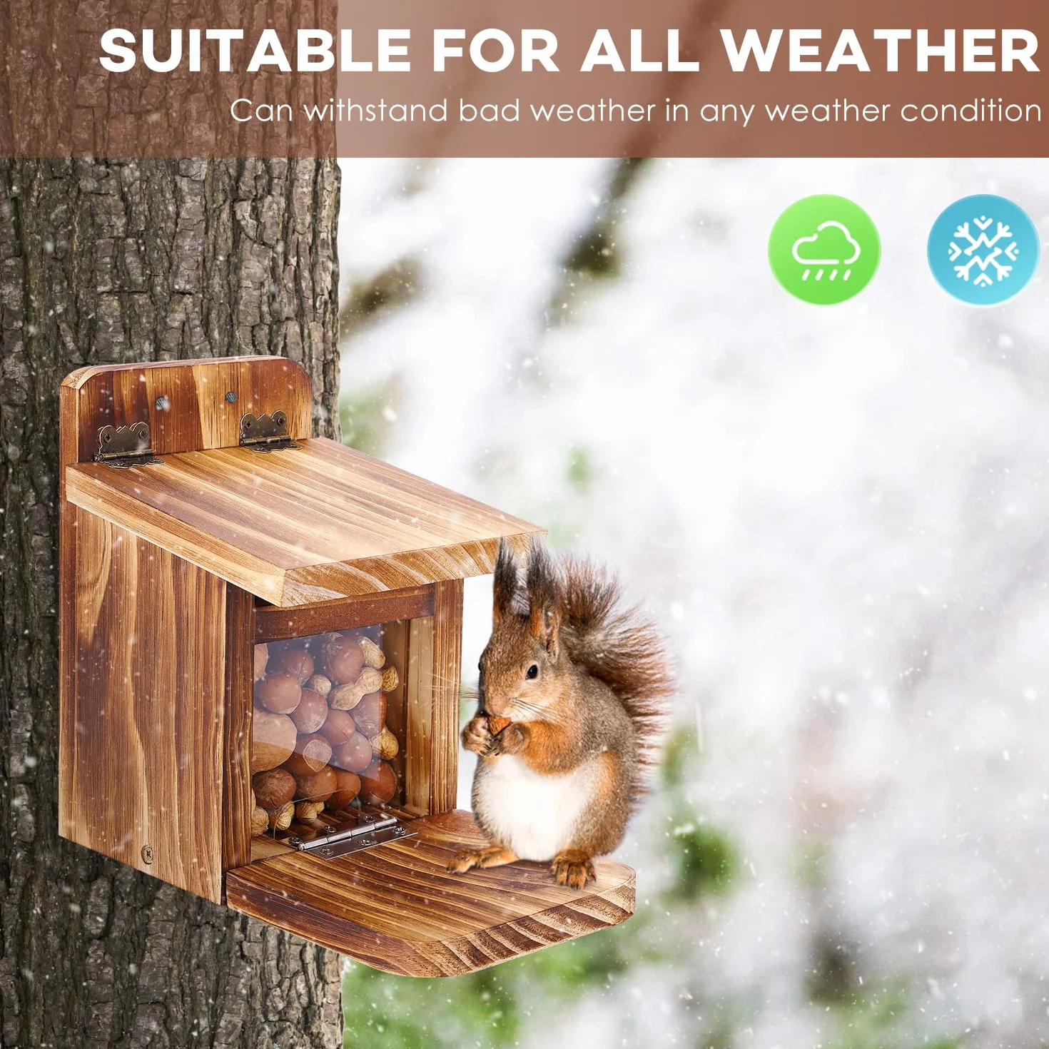 MIXXIDEA Mangeoire en bois pour écureuils 1,5 cm pour jardin