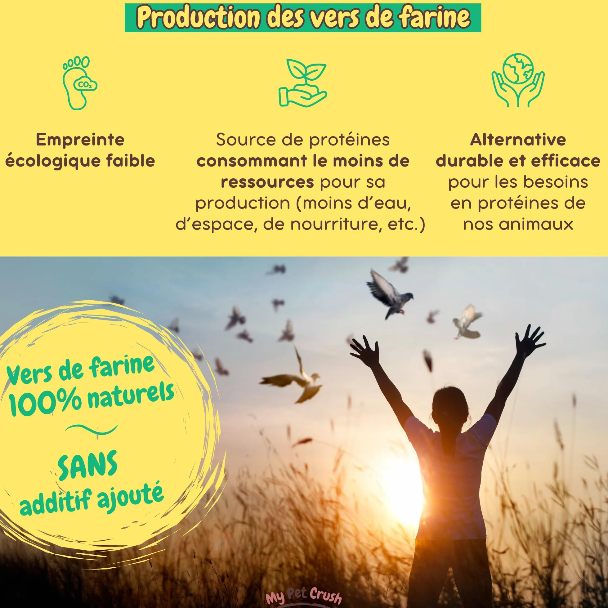 Vers de Farine Séchés 3,5L pour Poules Oiseaux Tortues Reptiles Carpes 100% Naturel Riche en Protéines
