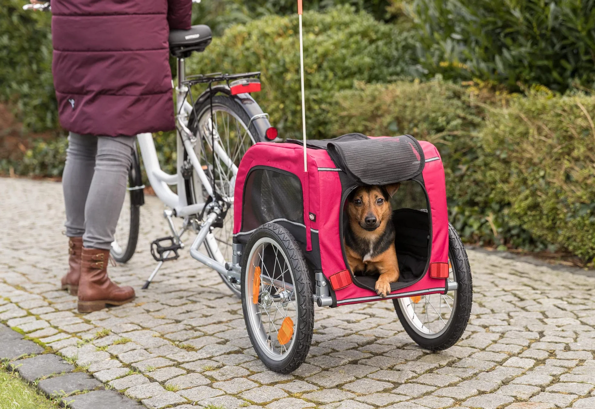 TRIXIE Pet Bike Trailer, Dog Bicycle Trailer, Foldable, Easy to Assemble