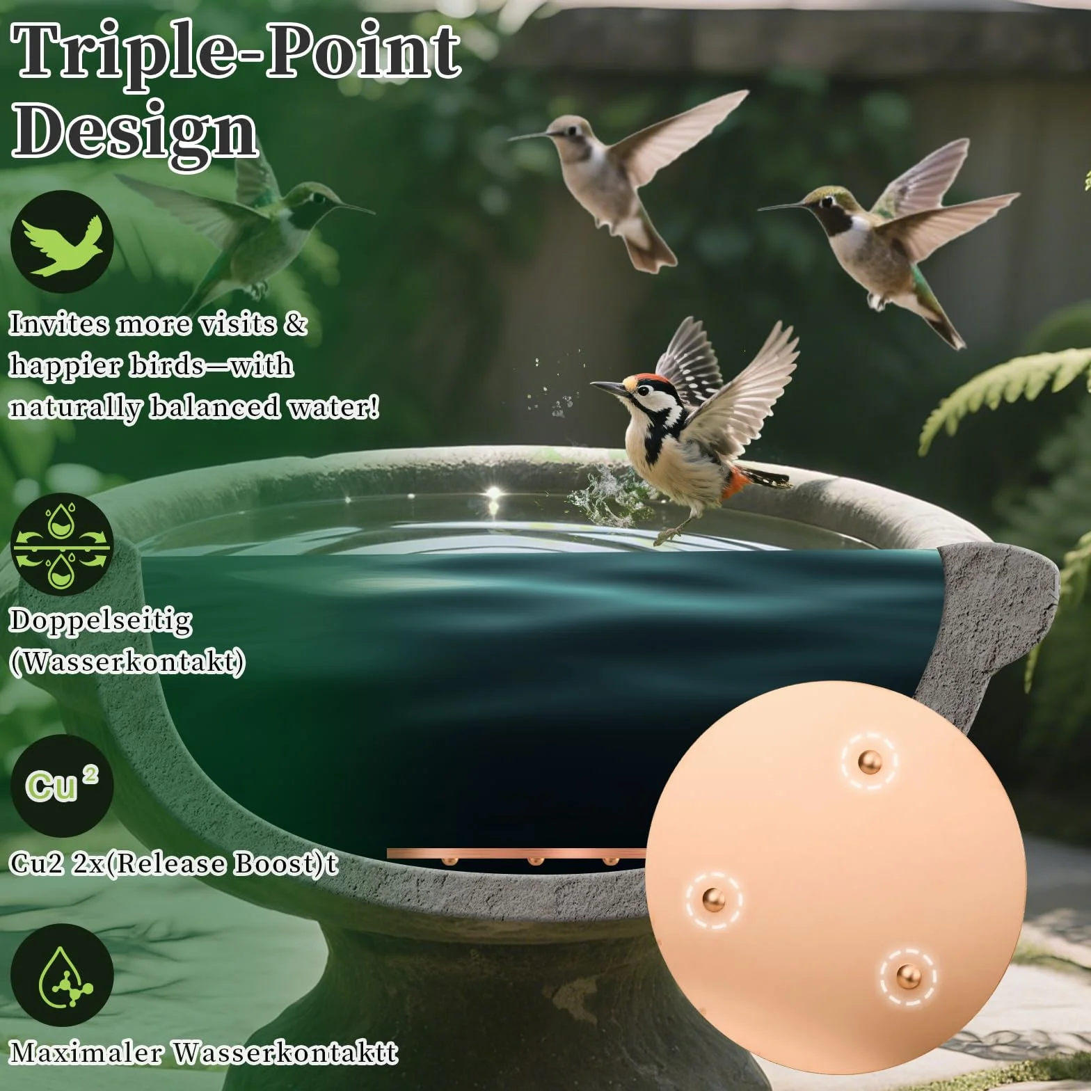 Mellbree Abreuvoir pour oiseaux Disque en cuivre 99,99% 0,6 mm