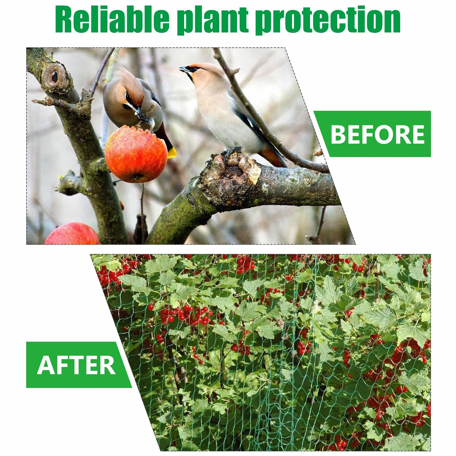 Filet Anti Oiseaux 4x20M Protection Potager Arbres Fruitiers