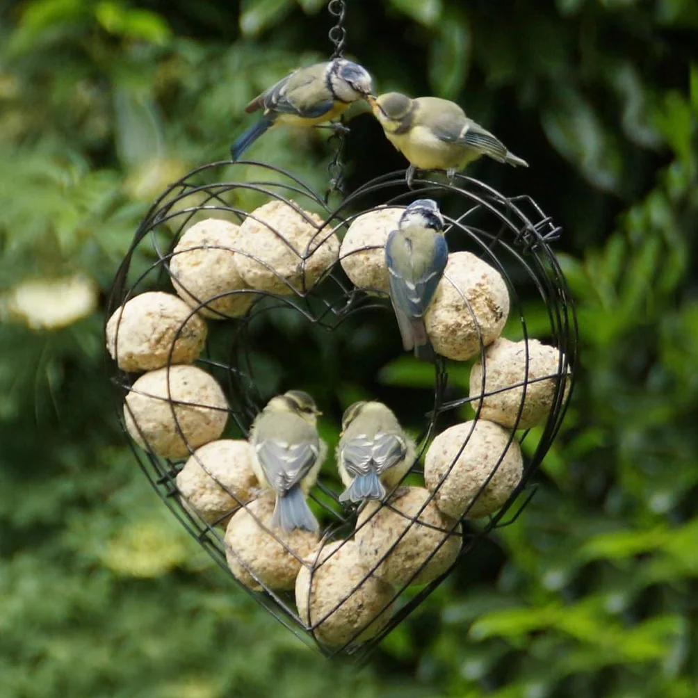 Boules Graisse VÉGÉTALE pour Oiseaux du Jardin – Fabriqué en France – 200 Boules sans Huile de Palme