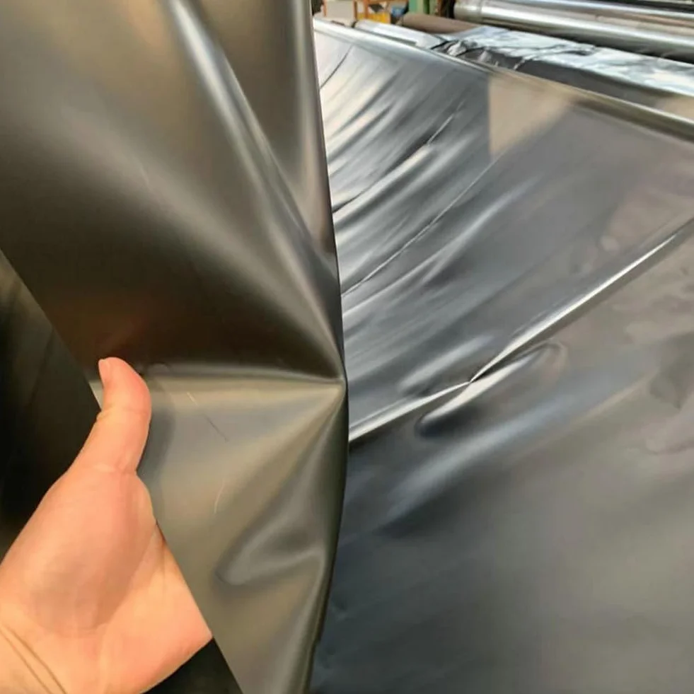 Bâche Bassin Extérieur Résistant UV Déchirures Flexible Durable 1.2x2m 0.2mm