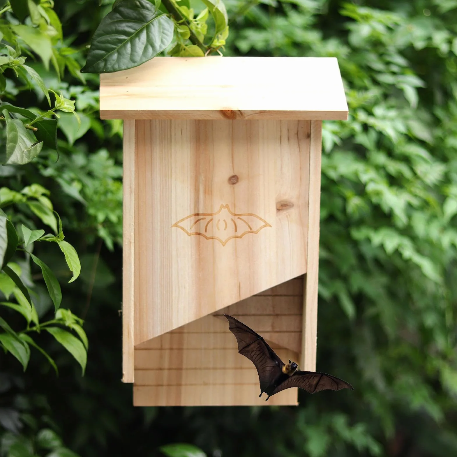 Maison Chauve-Souris en Bois résistante aux intempéries pour l'extérieur