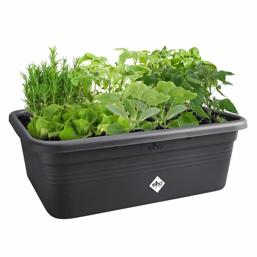 Elho Green Basics Grow Garden I Plateau de Semis Jardinière d'Herbes Plastique Recyclé 76.3 x 57.4 x 26.8 cm Noir