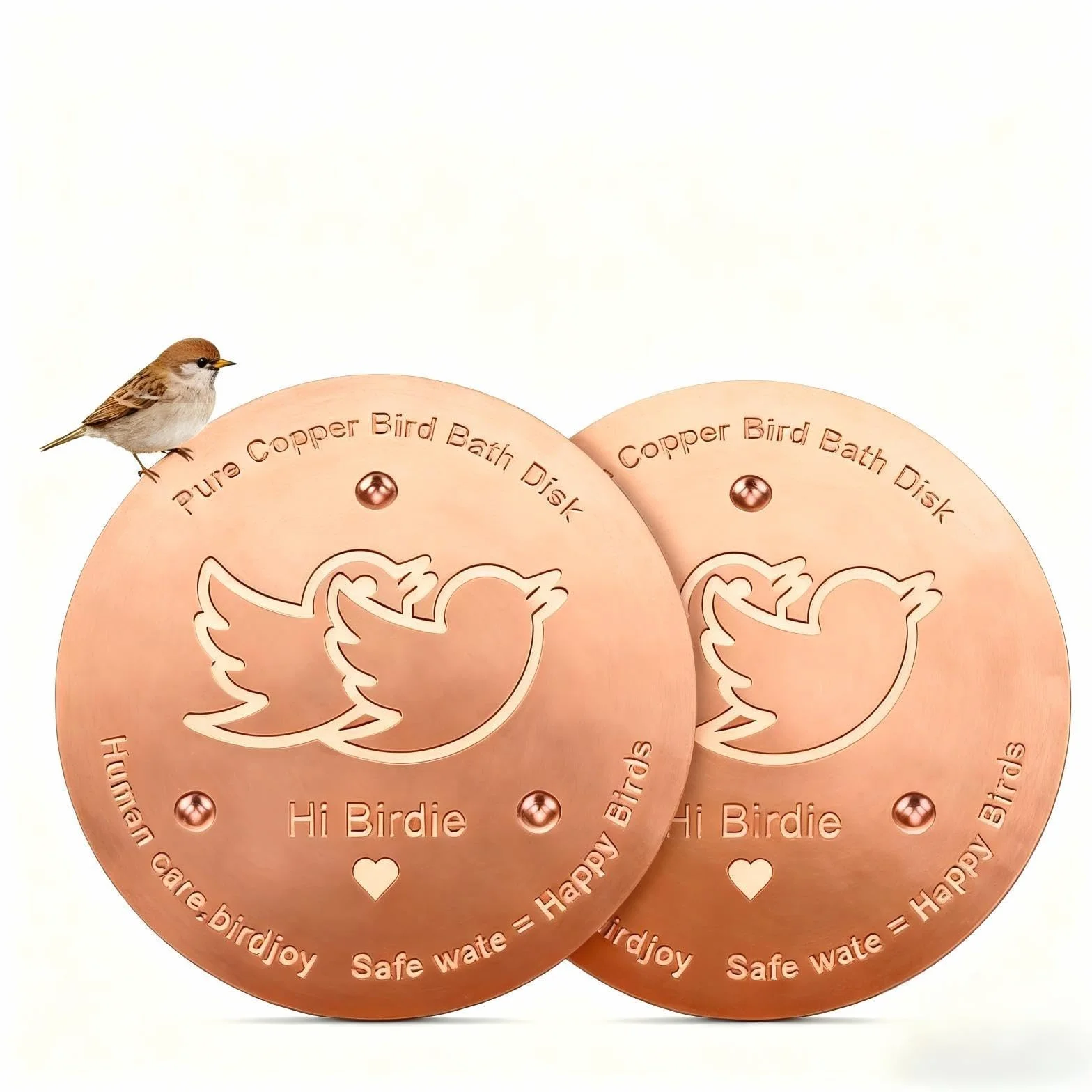 Kimimara Lot de 2 disques de nettoyage en cuivre pour bain d'oiseaux