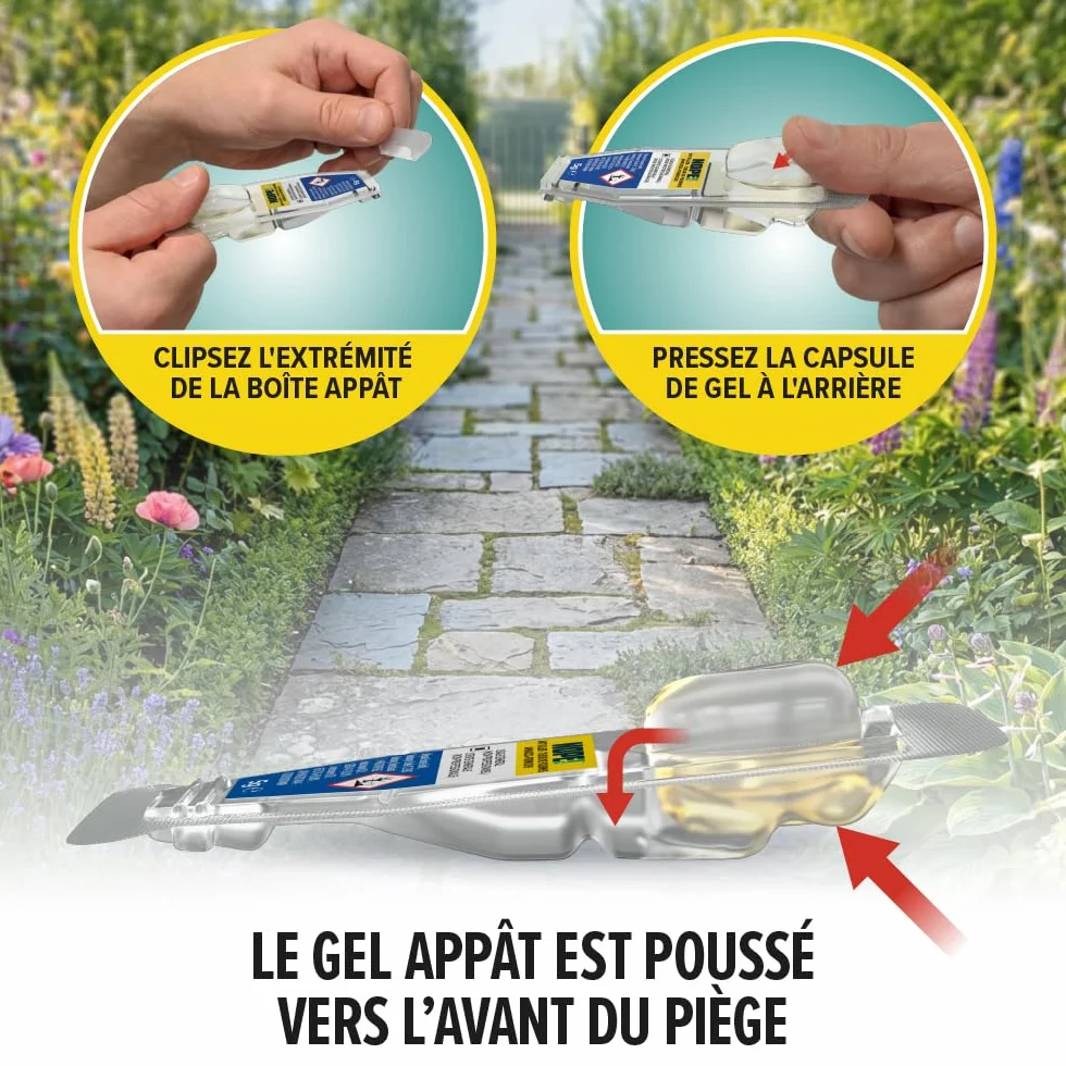 Pièges Anti-Fourmis Boîtes Appât 2 x 3 Gel à Effet Retardé Intérieur Extérieur