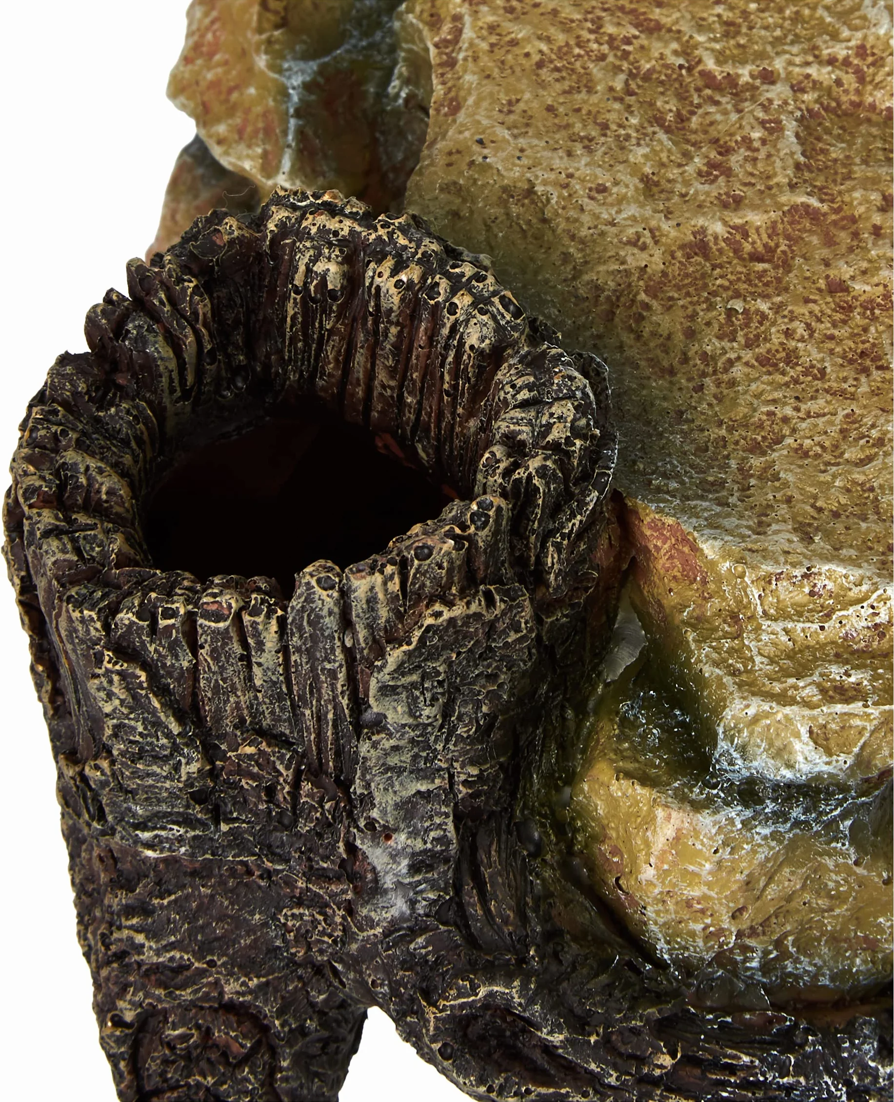 Trixie Plateau rocheux avec tronc d'arbre Décoration Aquarium 25 cm