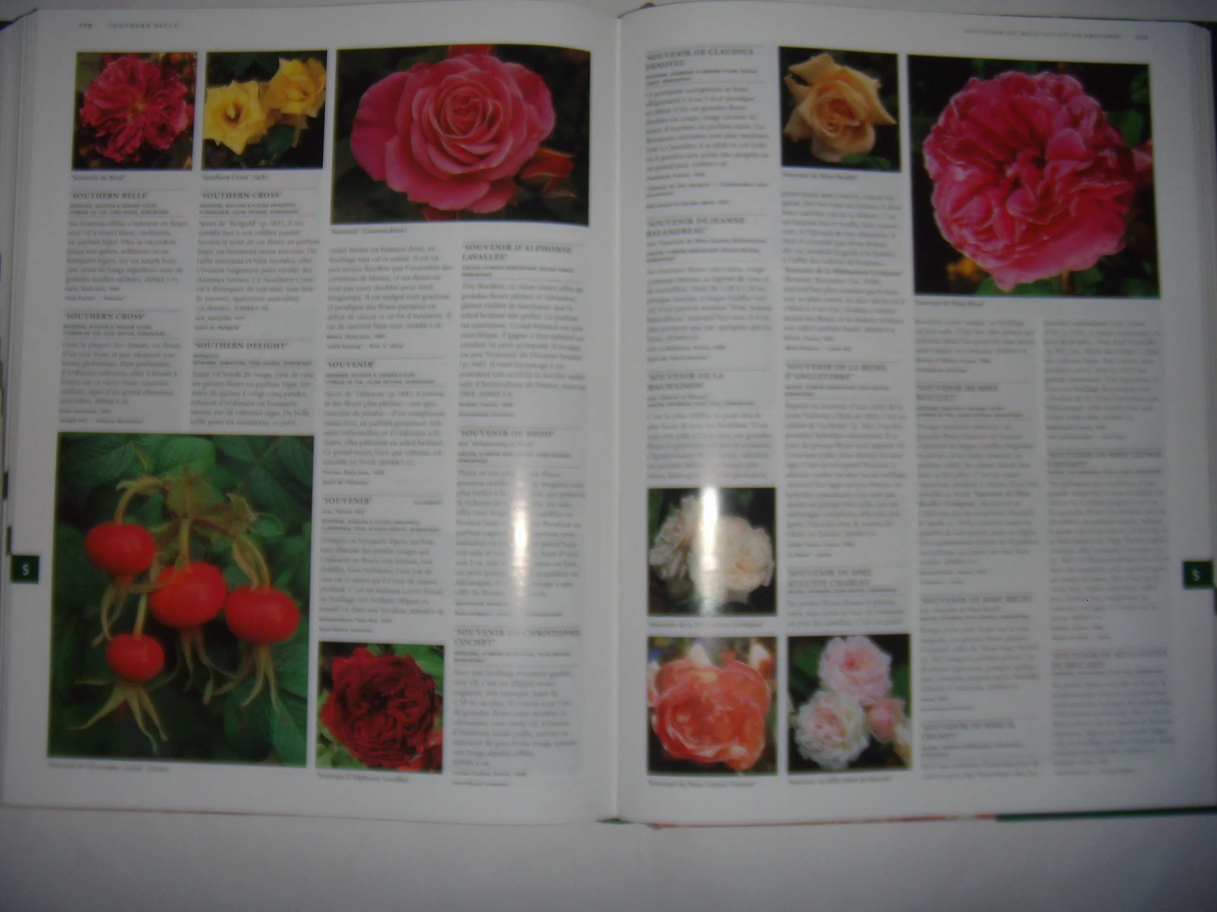 Rosa Rosae L'encyclopédie des Roses Plus de 4000 rosiers de jardin et variétés sauvages