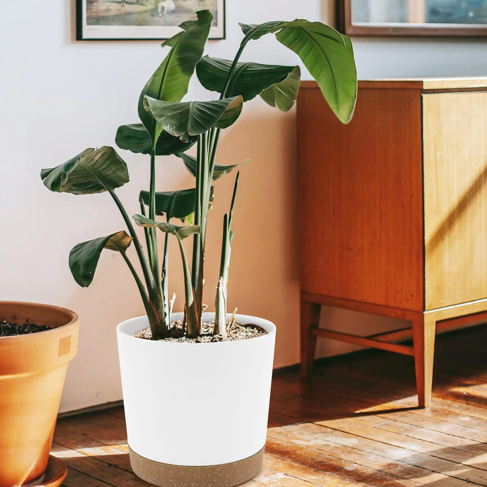 Lot de 2 Pot de Fleur Interieur 25.4cm Cache Pot Plante Grande Taille Plastique avec Trous de Drainage et Base Amovible Blanc