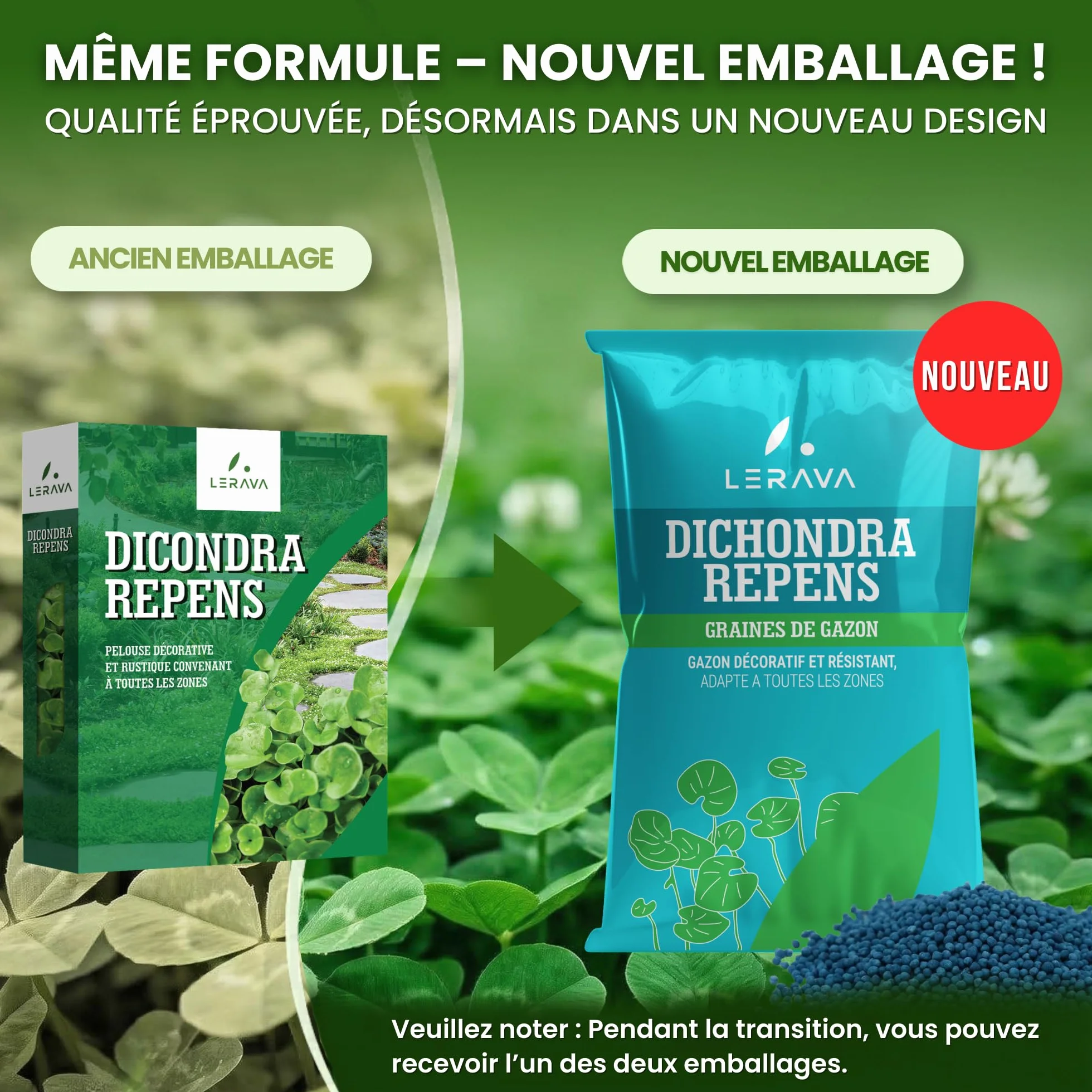 Dichondra repens gazon semer 20m² 200g résistance sécheresse zones ombragées ensoleillées micro trèfle