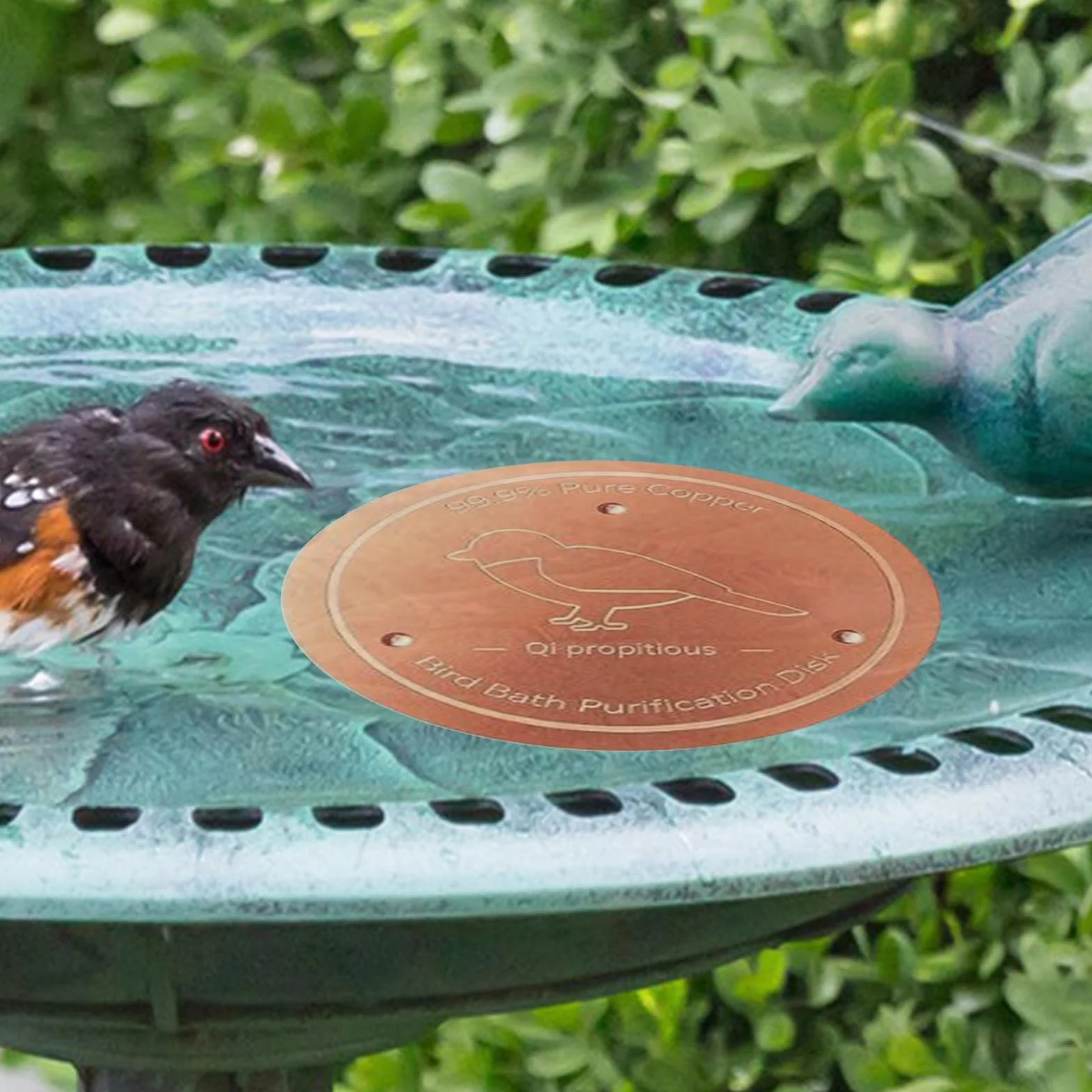 Bain d'oiseaux en cuivre avec support stable pour jardin