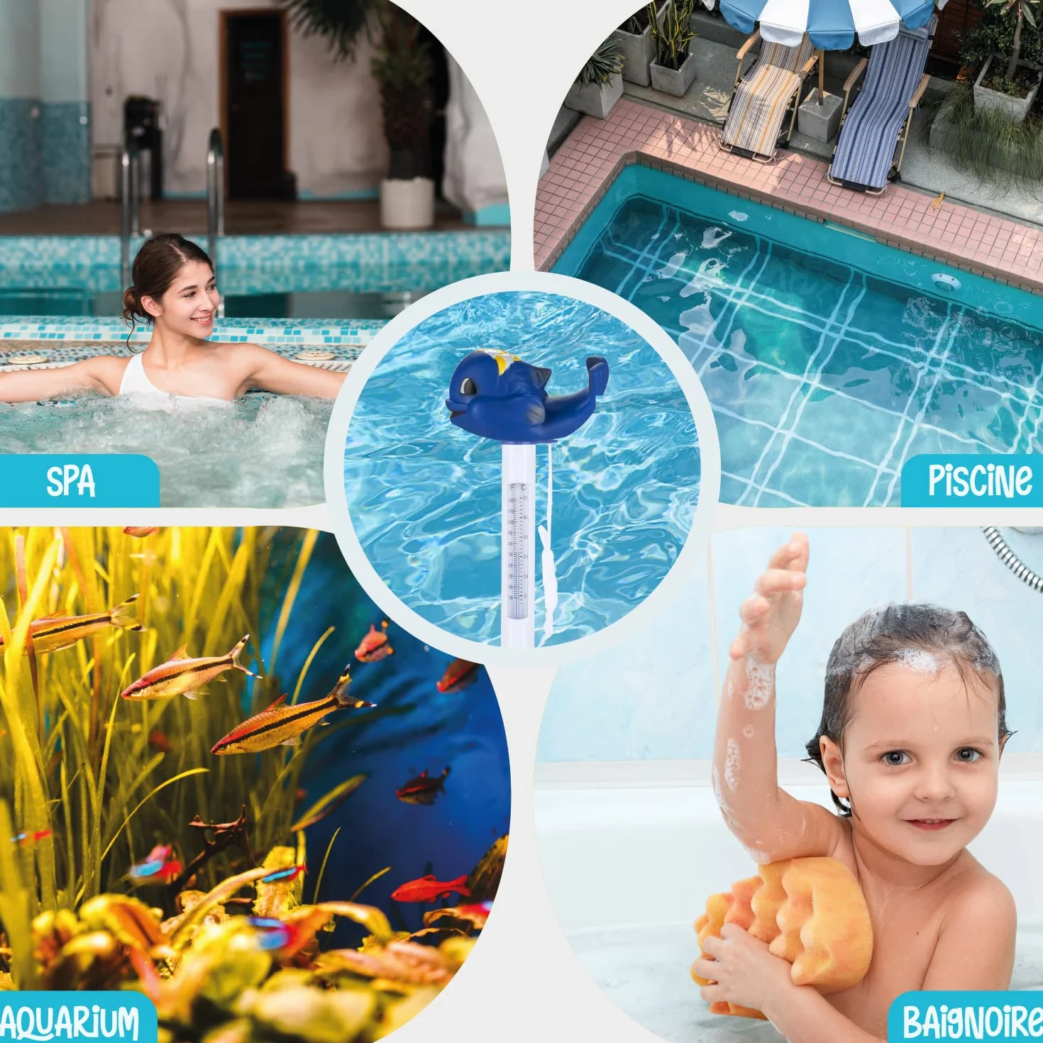 Thermomètre Piscine Flottante BALEINE Résistant Chocs Eau Intérieur Extérieur Spa