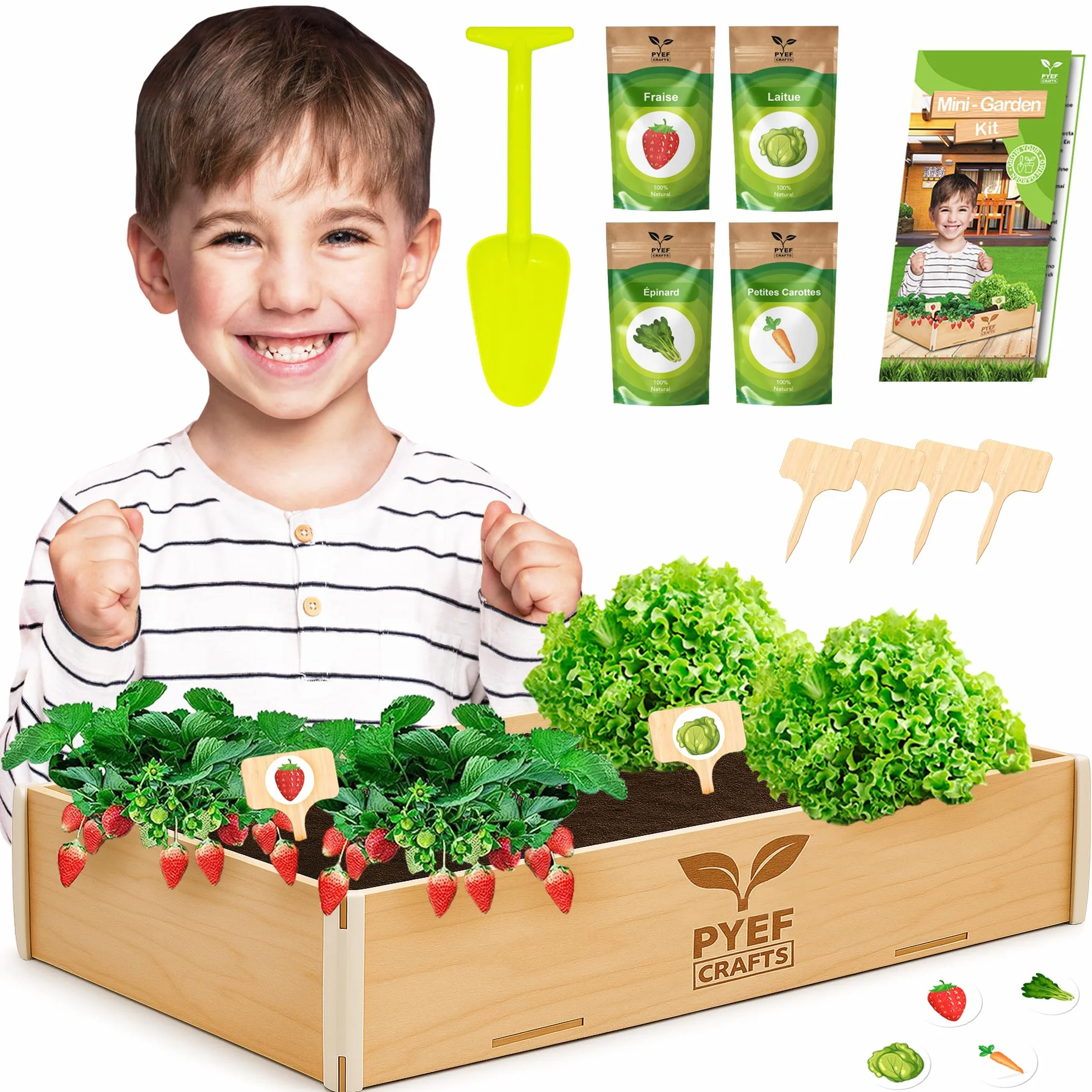 Kit Jardinage Enfant Plante à Faire Pousser - Prêt à Pousser Intérieur - 4 Variétés de Graines Potager
