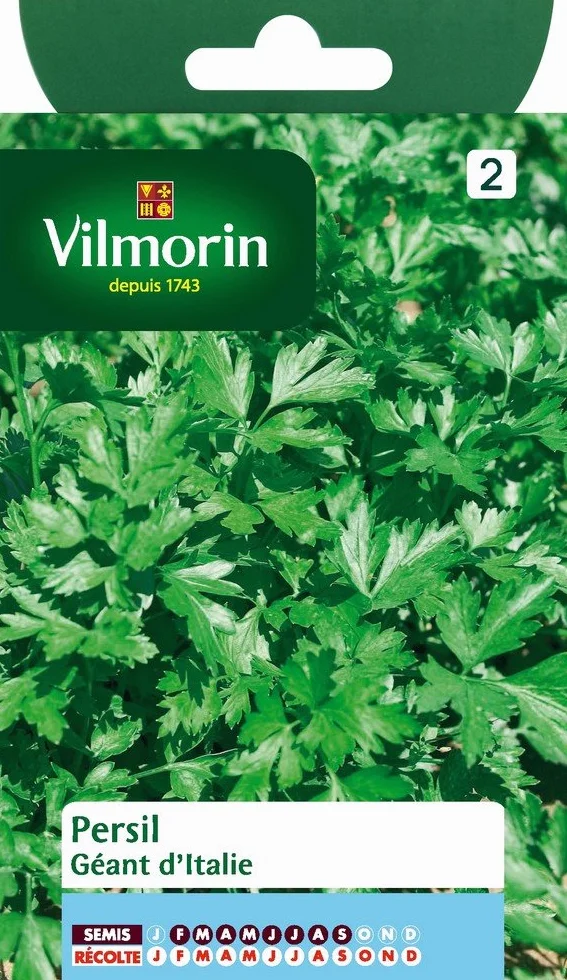Vilmorin Pack de Graines Persil Commun Géant d'Italie