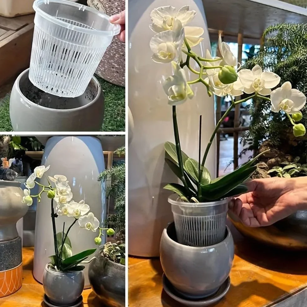 Pots transparents pour orchidées avec soucoupes 11 cm Lot de 6