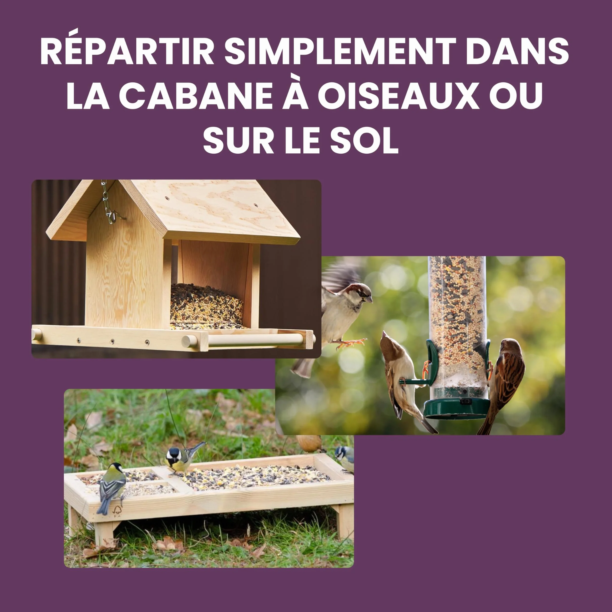 Graines Oiseaux Sauvages 1,7kg Mélange Nourriture Oiseaux Exterieur Jardin Hiver